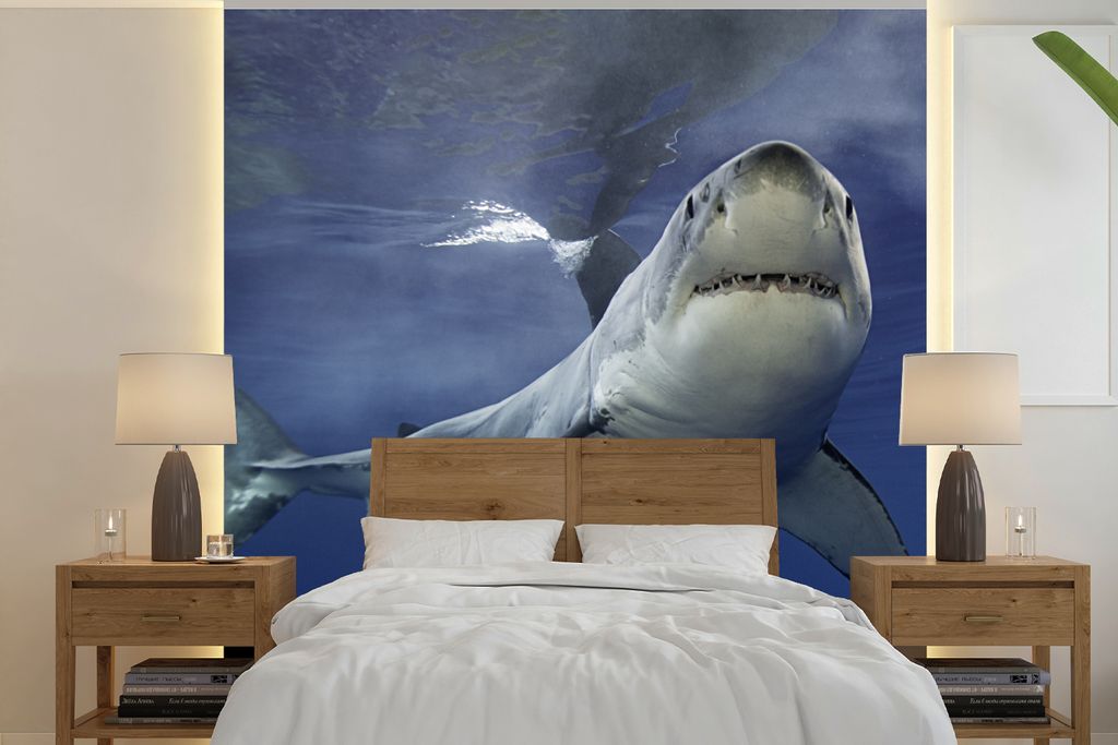 MuchoWow Fototapete für Wohnzimmer oder Schlafzimmer Wandtapete Vinyl Motivtapete Weißer Hai - 350x350 cm - Schlafzimmertapete