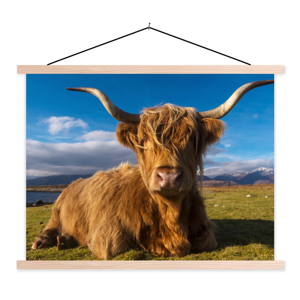 MuchoWow Textilposter Schottische Highlander - Tiere - Gras 60x45 cm mit holzfarbenen Rahmen - Bild