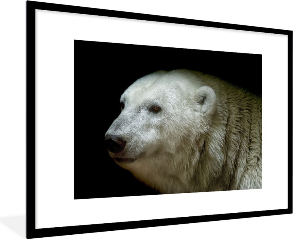 MuchoWow® MuchoWow® Gerahmtes Poster Nahaufnahme Eisbär Produktbild 