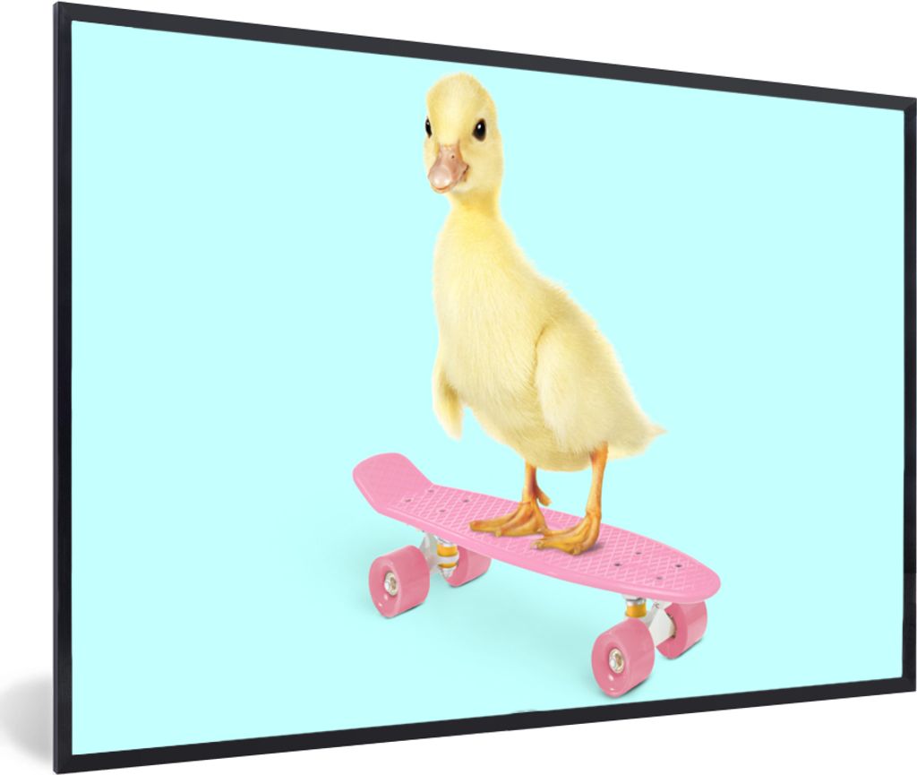 MuchoWow Gerahmtes Poster Ente - Küken - Skateboard - Blau - Rosa 60x40 cm - Poster mit Schwarzem Bilderrahmen Wandposter Rahmen Foto Bilder - P...