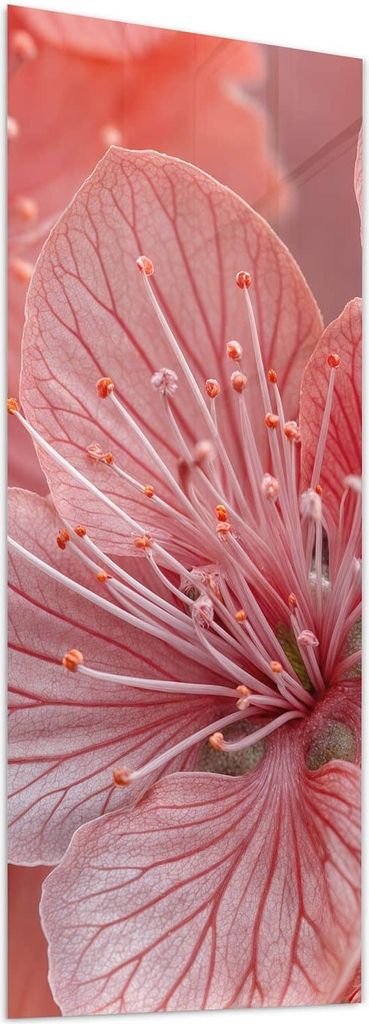 Glasbild 40x100cm in XXL für Wohnzimmer, Schlafzimmer Motiv Blumenpracht