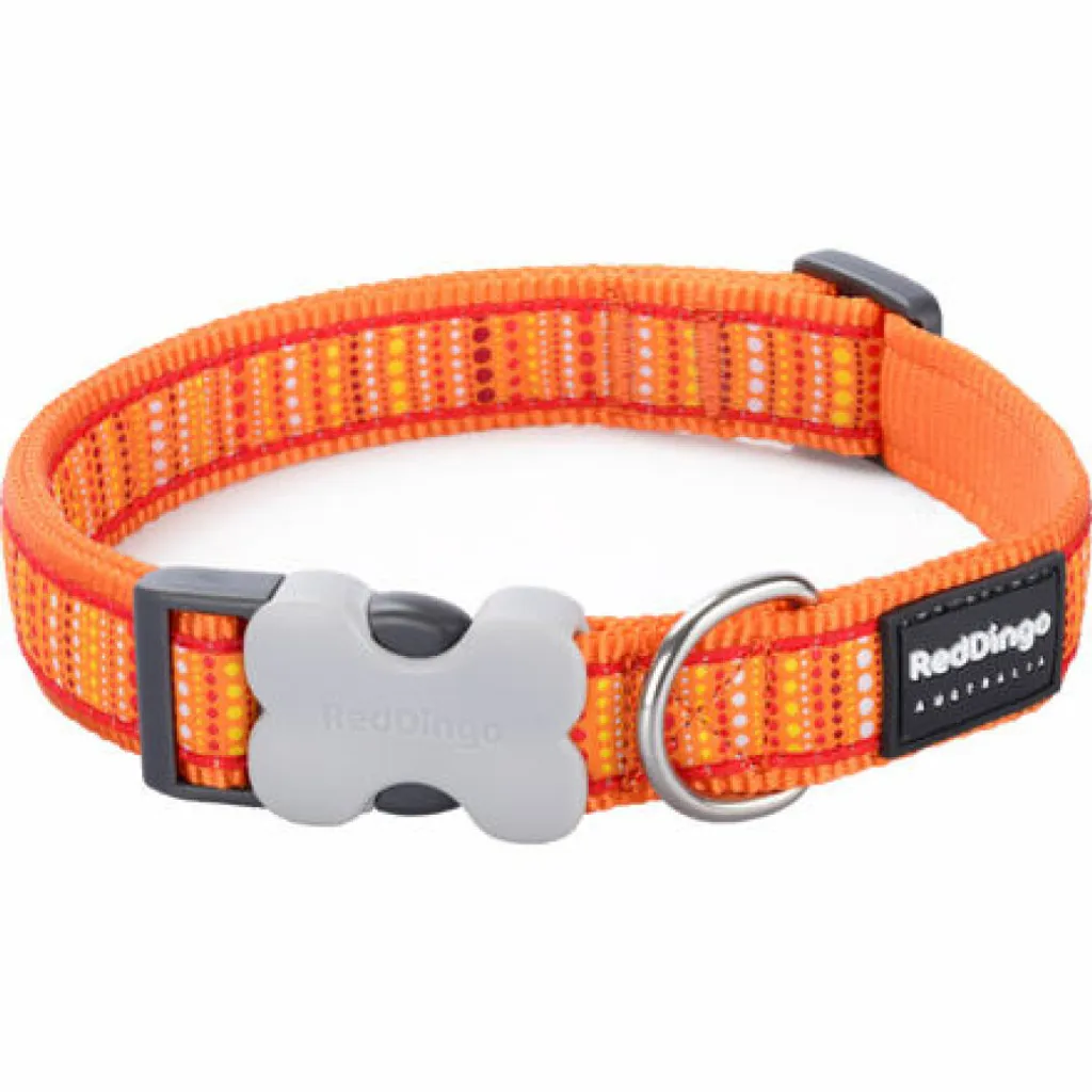 Collare RD 15 mm x 24-36 cm - Lotzadotz Arancione