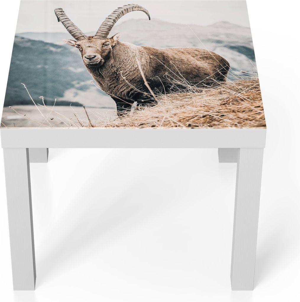 DEQORI Couchtisch 55x55 cm Weiß 'Wächter der Berge' Glas Beistelltisch Glastisch modern
