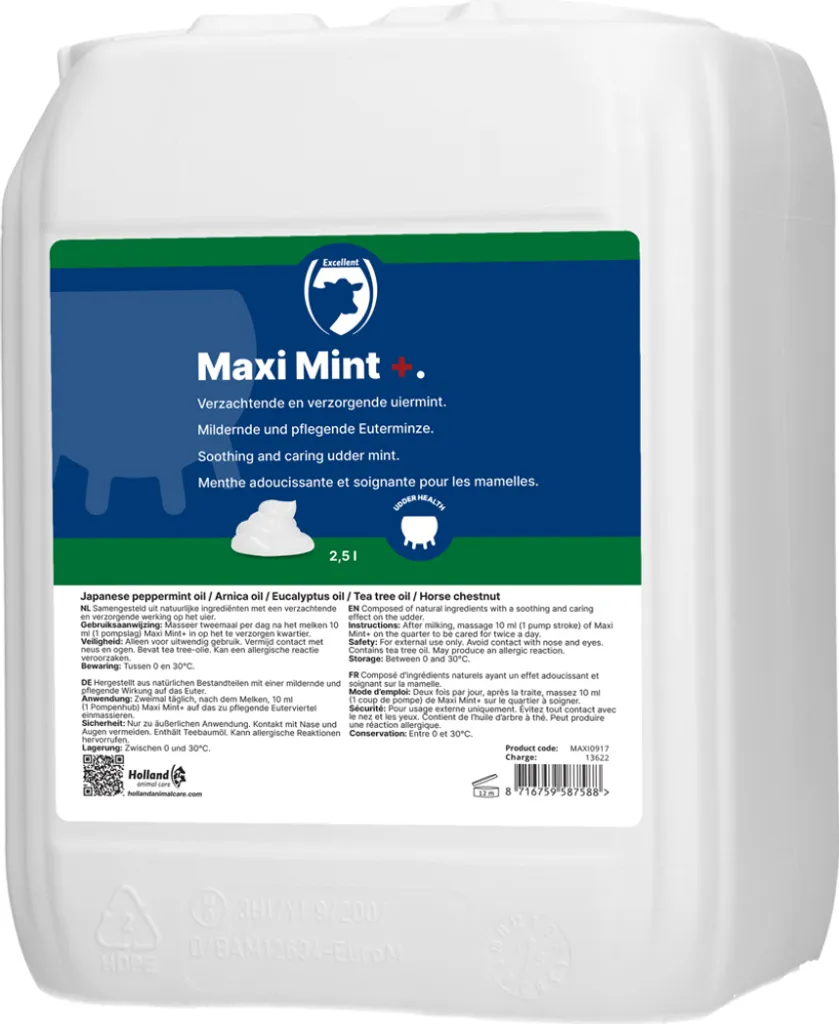 Maxi Mint Grand Emballage Fraîcheur Intense avec Doseur Pratique Inclus