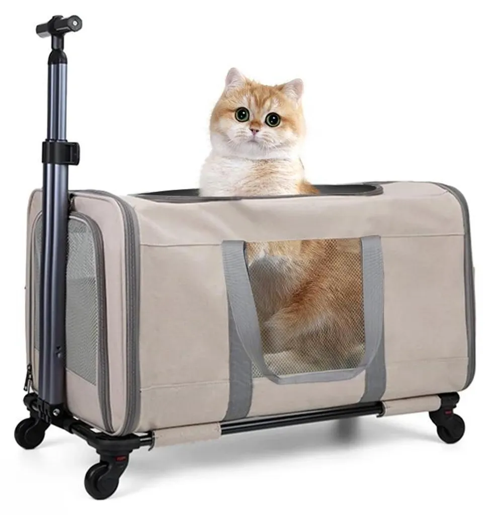 Poussette chat robuste roues multidirectionnelles et harnais de sécurité