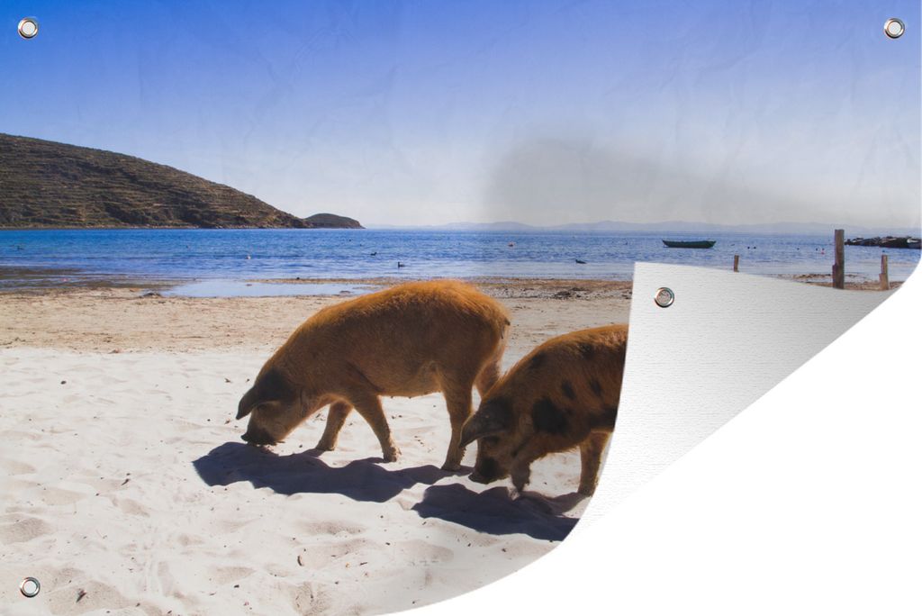 MuchoWow 60x40 cm Outdoor-Poster Gartendeko Sichtschutz Garten Poster für den Garten Schweine - Sommer - Strand