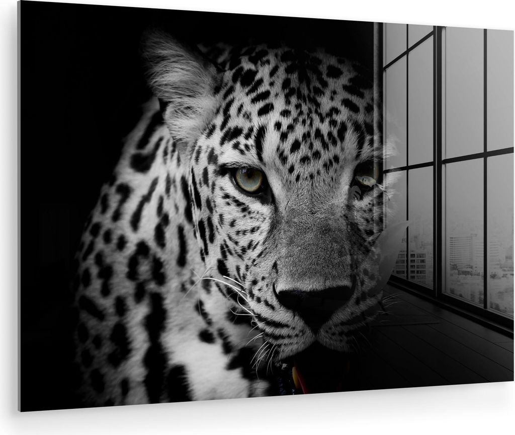 MuchoWow Glasbilder - Bilder auf Wandbild - Foto auf Glas Tiere - Schwarz - Weiß - Panther - Porträt 30x20 cm Wanddekoration aus Glas - Acrylglas...