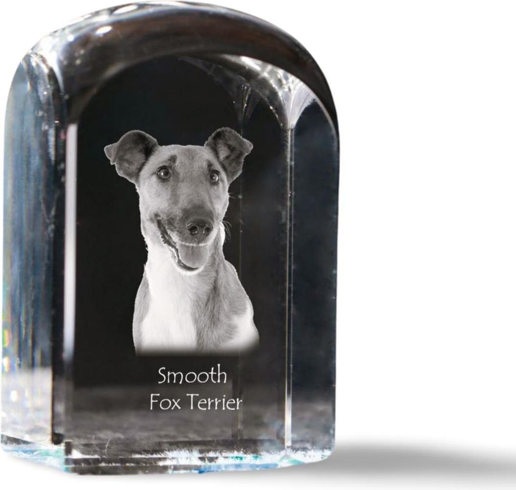 Fox Terrier Glatthaar, Foxterrier - Kristallwürfel mit Bild, Hundebild im Kristall, sechseckiger Papierclip von Art-Dog.