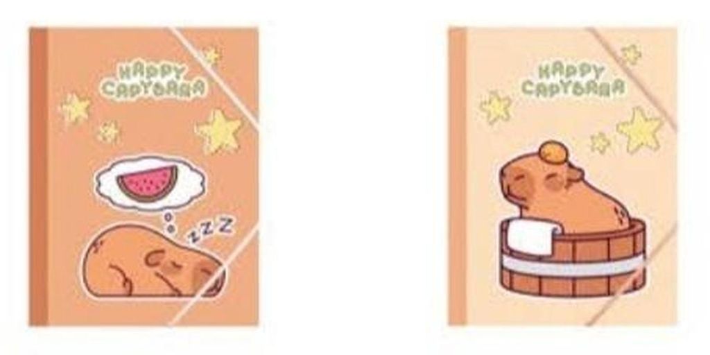 CAPYBARA Chemise A4 à élastique MIX - Koh-I-Noor Image du produit 