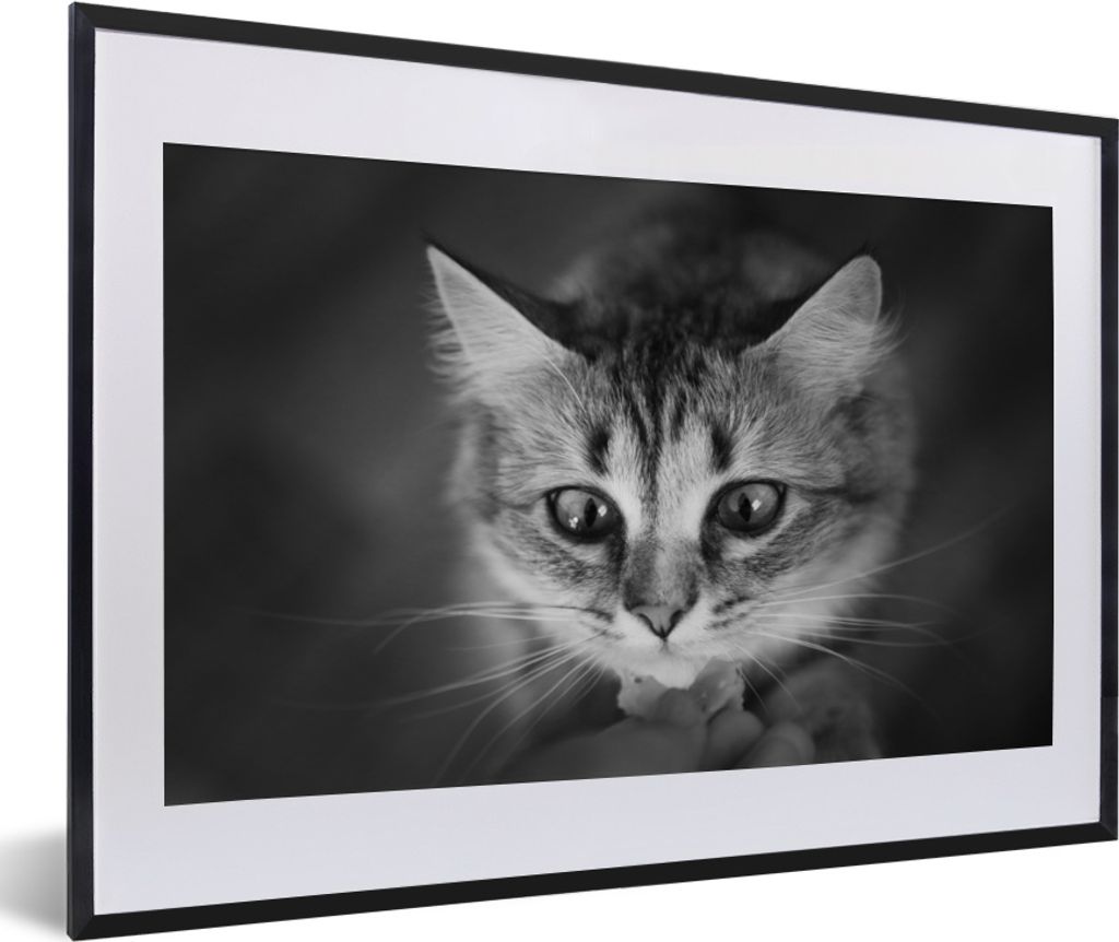 MuchoWow MuchoWow Gerahmtes Poster Tierprofil riechende Katze in schwarz und weiß 60x40 cm - Poster mit zchwarzem Bilderrahmen - Schlafzimmer ...