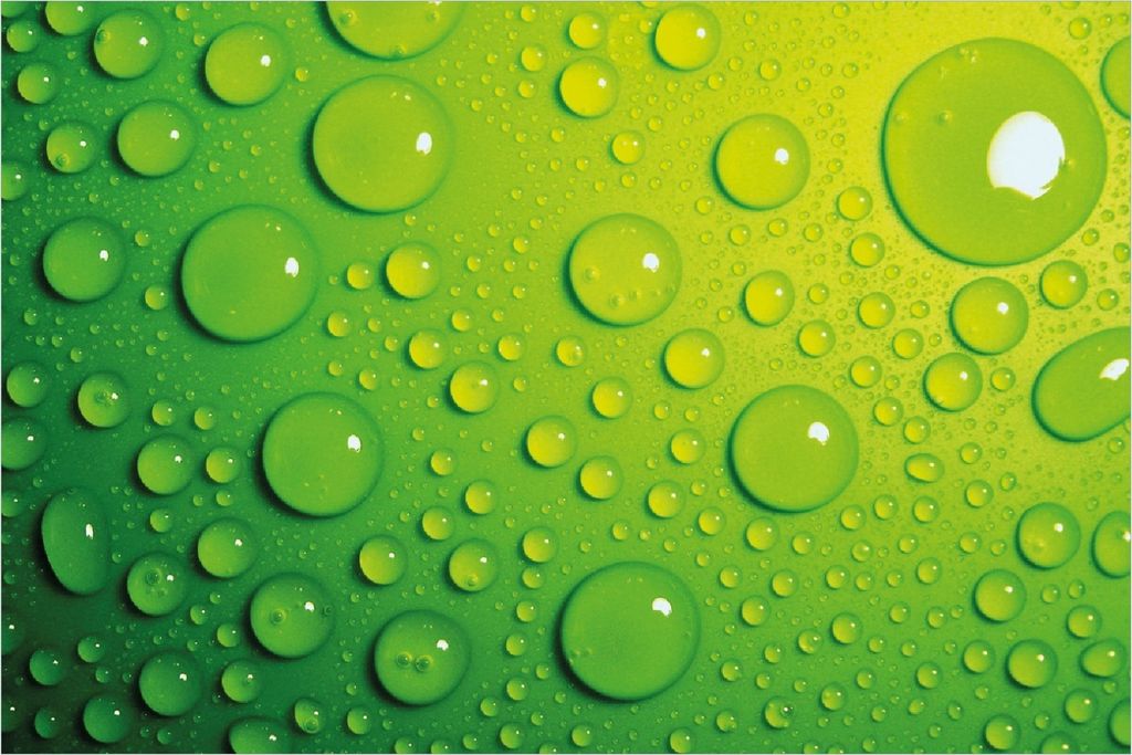 Wallario Poster - Wassertropfen auf Grün, Kunstdruck Größe: 61 x 91,50 cm