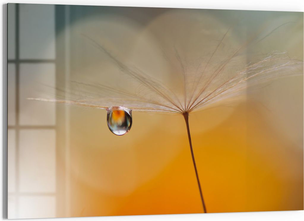 DEQORI Magnettafel Glas 90x60 cm 'Träne des Morgens' beschreibbar Whiteboard Küche