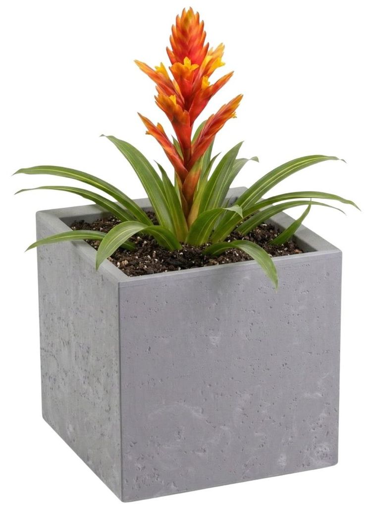 HowHomely | Blumentopf - Blumenkübel - grau - 30x30x30cm - Übertopf - auf Rollen - Betonstruktur