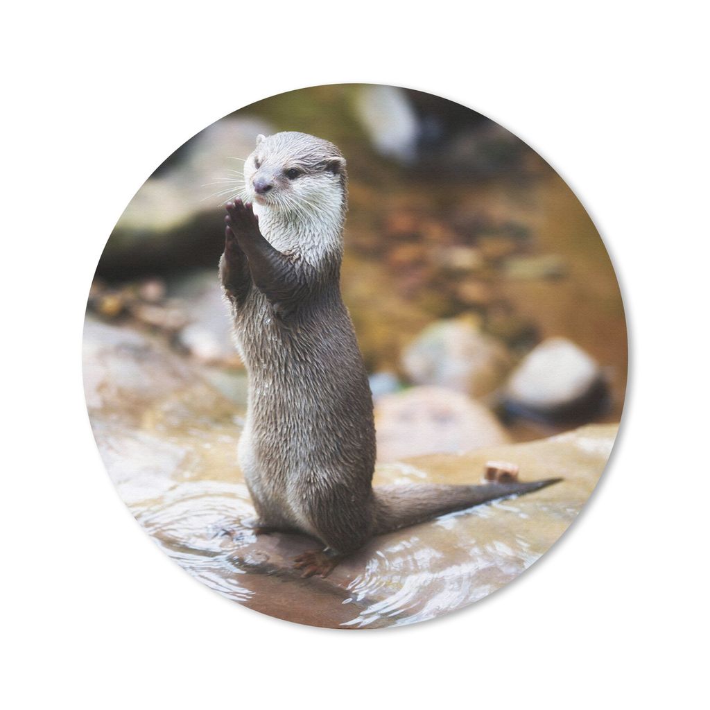 MuchoWow Mauspad Mousepad Otter steht aufrecht 20x20 cm - Mousepads - Maus Mat - Pad - Mausunterlage - Schreibtischmatte