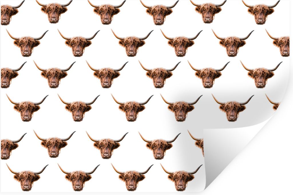 MuchoWow Wandtattoo Wandsticker Wandaufkleber Tiere - Vorlage - Schottischer Highlander 90x60 cm Selbstklebend und Repositionierbar - Aufkleber