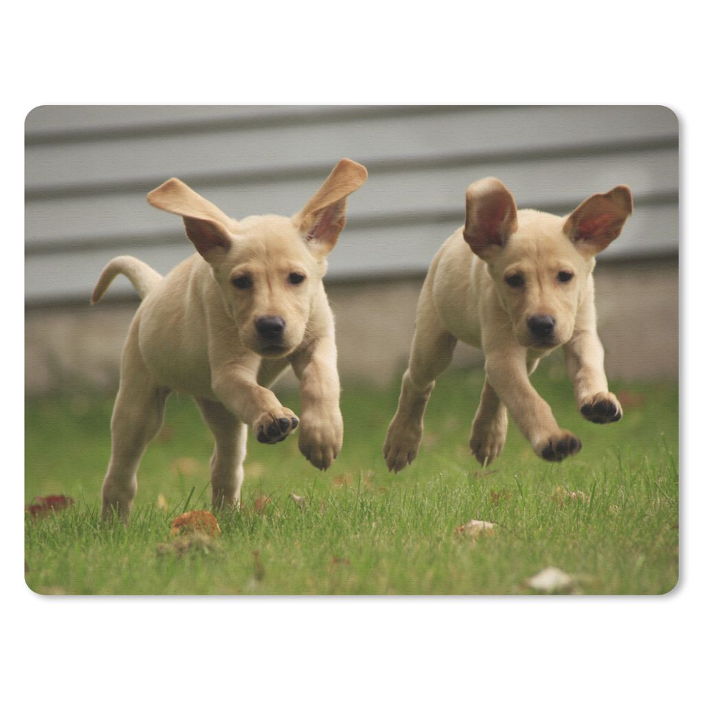 MuchoWow Mauspad Mousepad Zwei gelbe Labrador Retriever laufen durch das Gras 23x19 cm - Mousepads - Maus Mat - Pad - Mausunterlage - Schreibtisc...