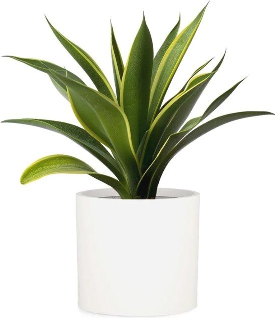 Pot de fleurs céramique 30 cm avec drainage : stop aux racines pourries