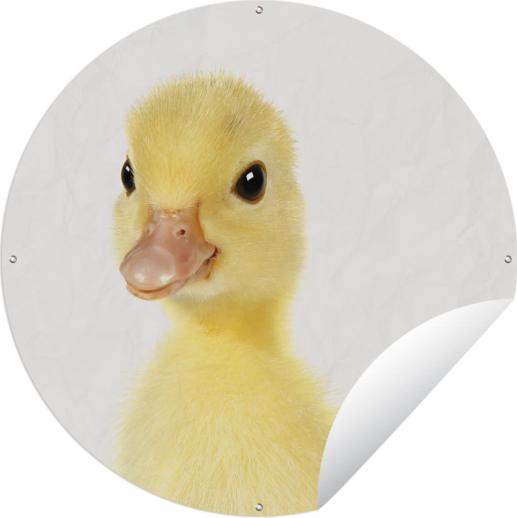 MuchoWow Gartenposter Outdoor-Poster Rund Tiere - Ente - Gelb Ø 150 cm Gartendeko Rundes Poster draußen