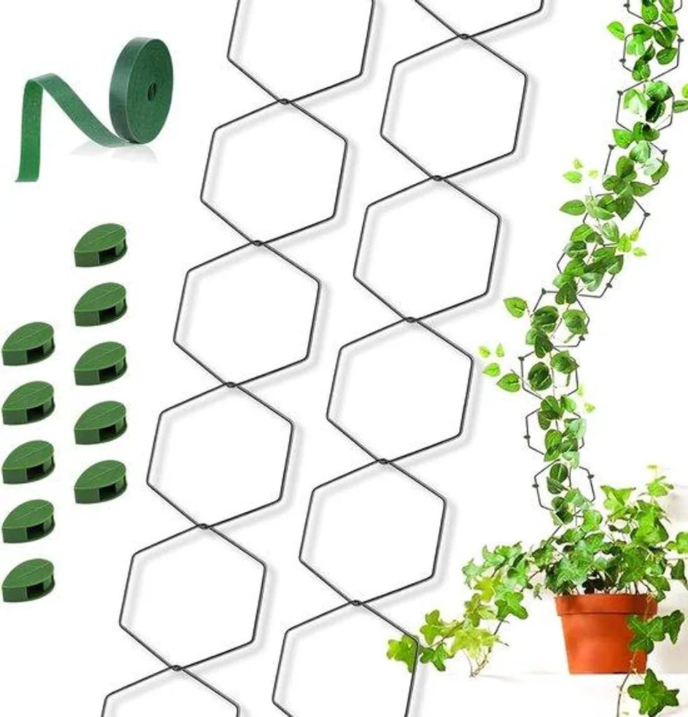 Support hexagonal Pothos avec 10 crochets de fixation et liens de 1 mètre