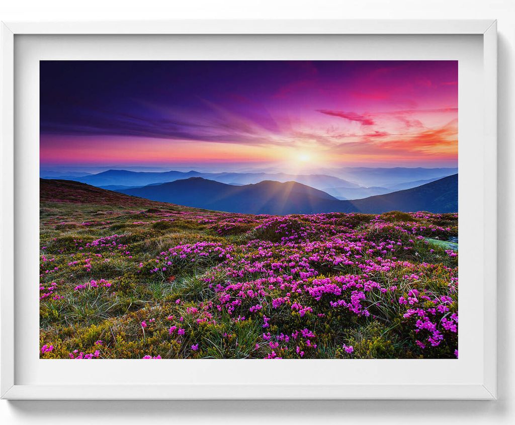 Blumen im Sonnenaufgang– Wandbild mit Rahmen – Gerahmtes Bild – Wanddekoration – 80x60 cm – Weiß Rahmen