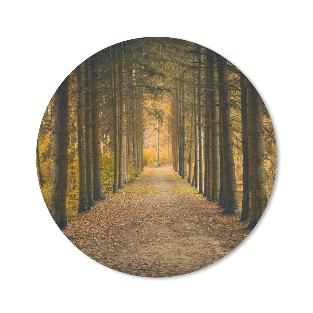 MuchoWow Mauspad Mousepad Pfad - Bäume - Wald 50x50 cm - Mousepads - Maus Mat - Pad - Mausunterlage - Vinyl