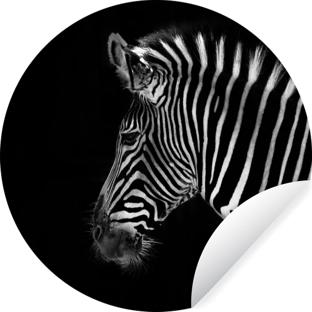 MuchoWow Runde Wandtattoo - Wandsticker Tapete Aufkleber Zebra - Wilde Tiere - Schwarz Ø 50 cm Selbstklebend und Repositionierbar - Wandaufklebe...