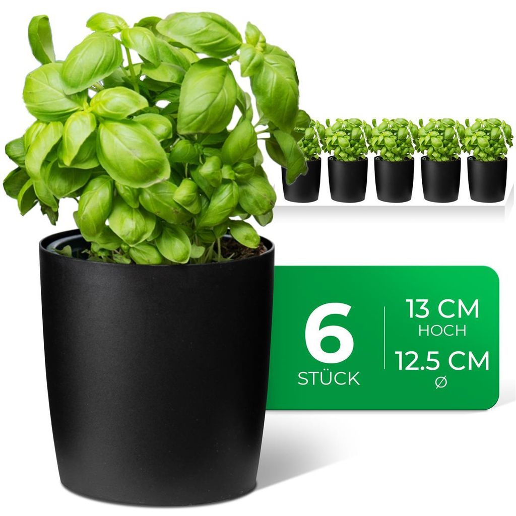 Novaliv Stilvolle 6er Set Kräutertopf aus Kunststoff Produktbild 