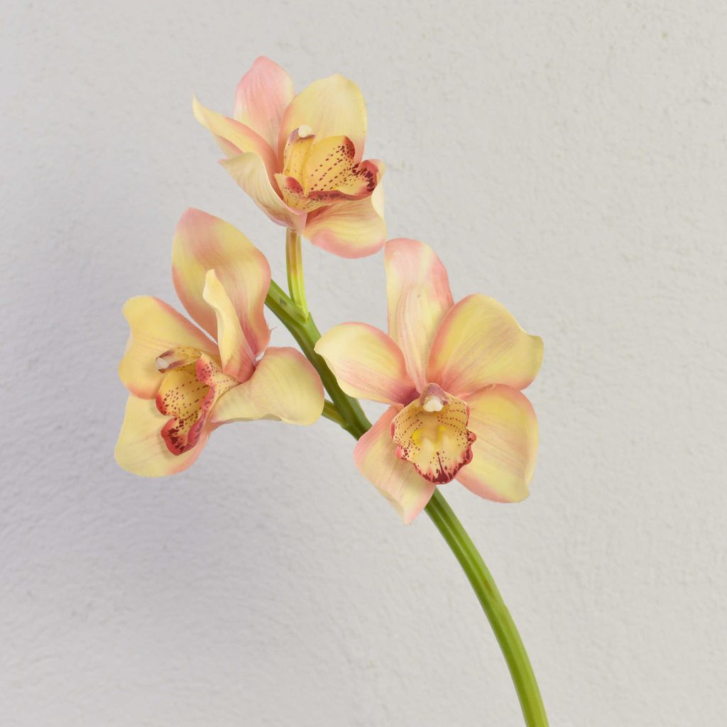 artplants.de Deko Zweig Cymbidium Orchidee Seraphina, gelb-rosa, 45cm - Seidenorchidee - Textilblume