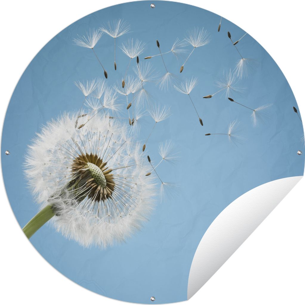 MuchoWow Gartenposter Outdoor-Poster Rund Löwenzahn - Saatgut - Luft Ø 90 cm Gartendeko Rundes Poster draußen