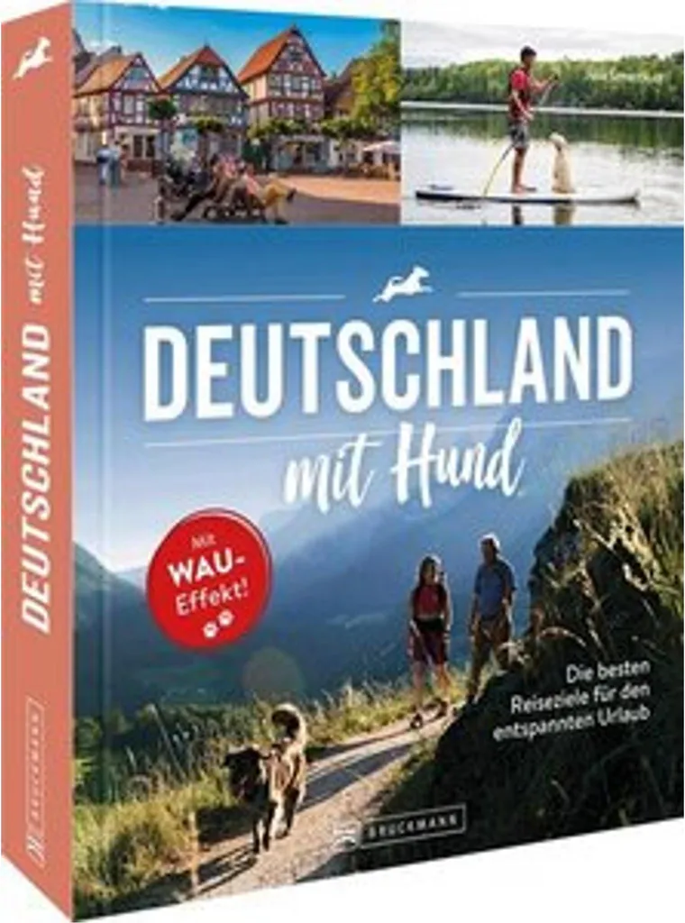 Guide L'Allemagne avec un chien : voyagez sereinement avec votre animal