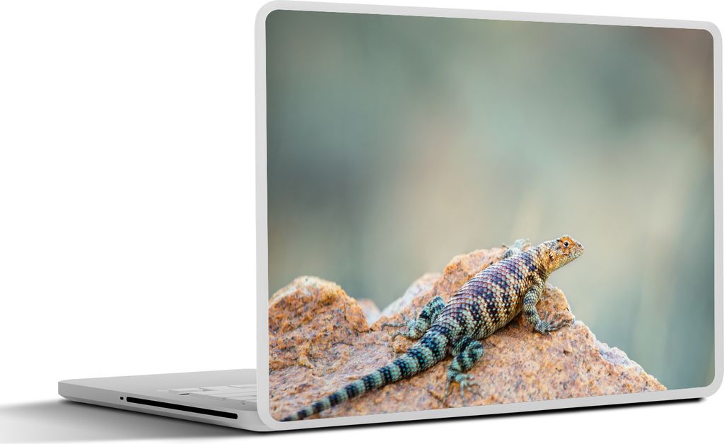 MuchoWow Laptop Aufkleber Sticker Cover Das Porträt einer bunten Eidechse 31x22.5 cm - Laptop-Deko