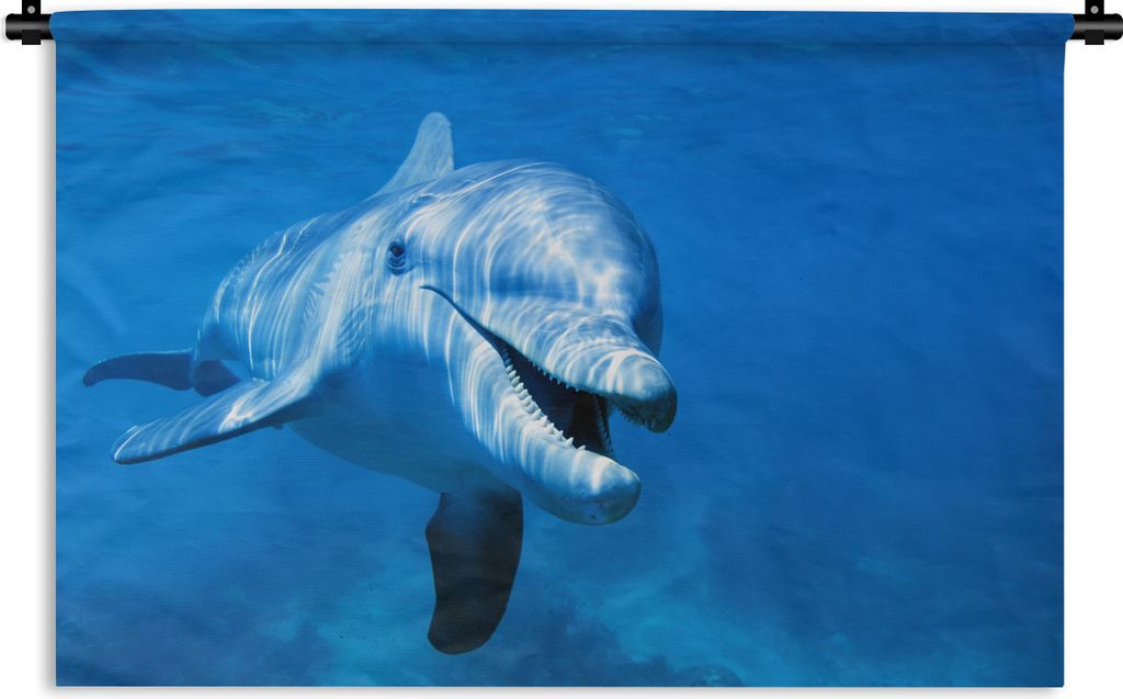 MuchoWow Wandteppich Wandbehang Delfin - Wasser - Meer 150x100 cm Tapisserie Dekoration Wandtuch - Waschbar - Tapisserien - Wand-Decke