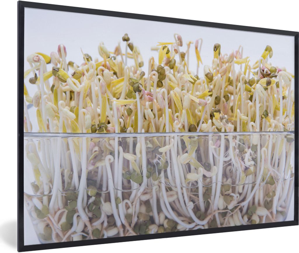 MuchoWow Gerahmtes Poster Bohnensprossen in einer Glasschale vor einem weißen Hintergrund 90x60 cm - Poster mit Schwarzem Bilderrahmen Wandposte...