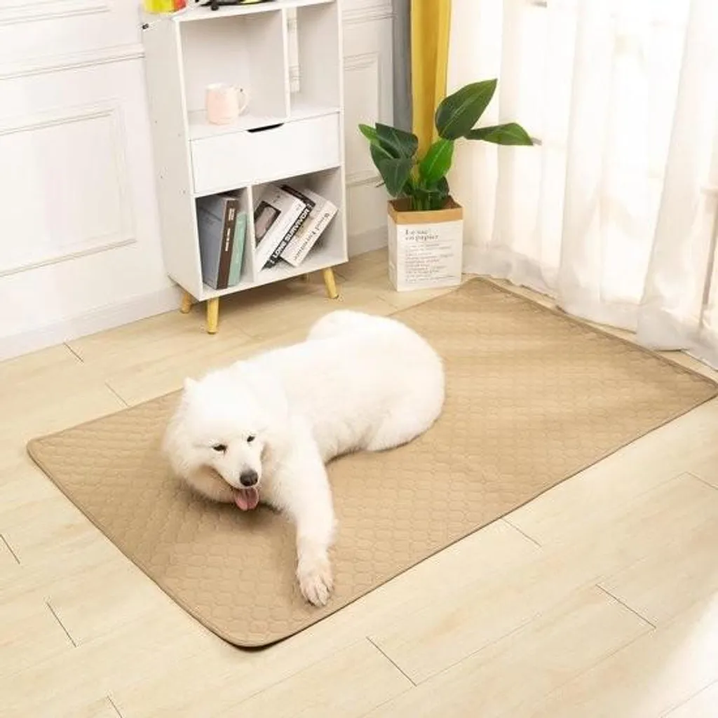 Tapis de sol imperméable 70x50 cm pour chien et chat - Lavable Marron - 3