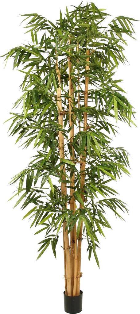 aplanta Künstlicher Bambus - Marlon | 300 cm, Echtholzstamm, für drinnen, Kunstbaum, wie echt, Allergiker geeignet, pflanzliche Dekoration Praxis...