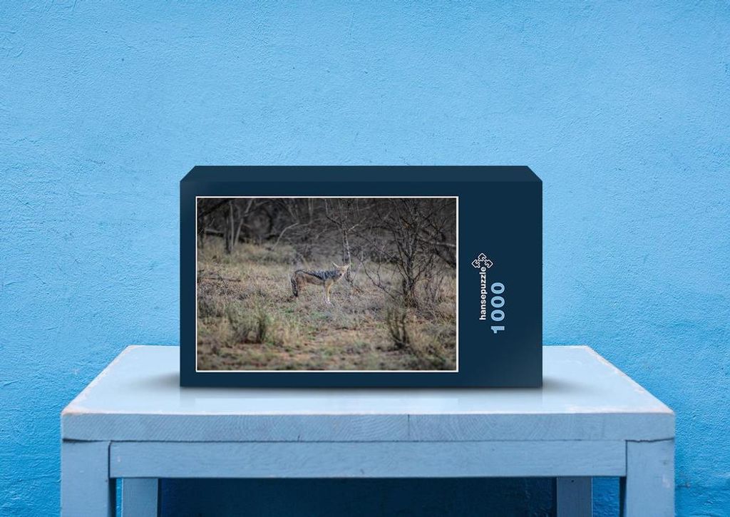 hansepuzzle 75421 - Luchs Puzzle, 1000 Teile, Tierwelt, 60,0 x 46,0cm mit hochwertiger Aufbewahrung, Kartonbox und wiederverschließbarem Beutel
