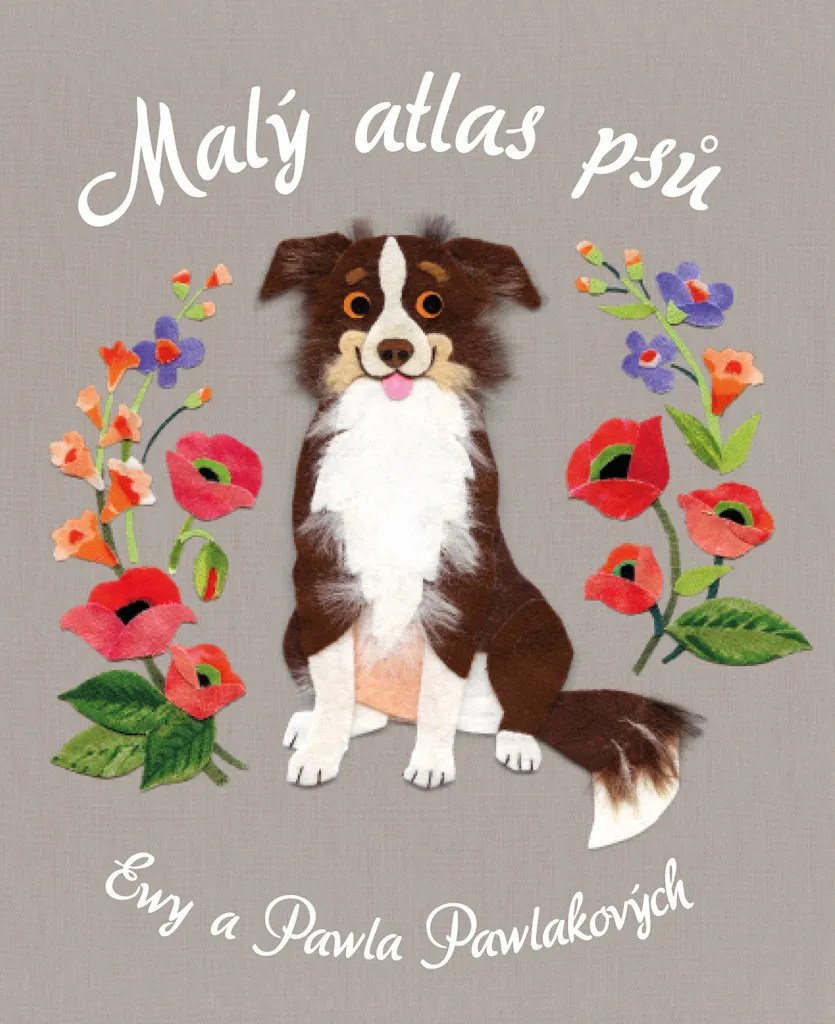 Livre illustré pour enfants Malý atlas psů : guide ludique sur les chiens