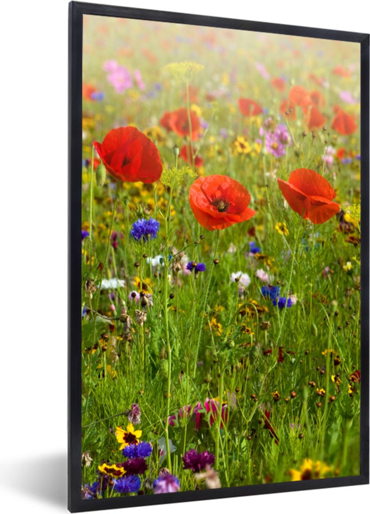 MuchoWow Gerahmtes Poster Frühling - Blumen - Rot - Mohn - Gras - Grün 40x60 cm - Poster mit Schwarzem Bilderrahmen Wandposter Rahmen Foto Bild...