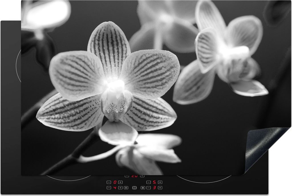 KitchenYeah Herdabdeckplatte Orchideenblüte - schwarz und weiß , 80x52cm, Küche Deko, Glaskeramikkochfeld Herdabdeckung, Abdeckplatte fùr Koc...