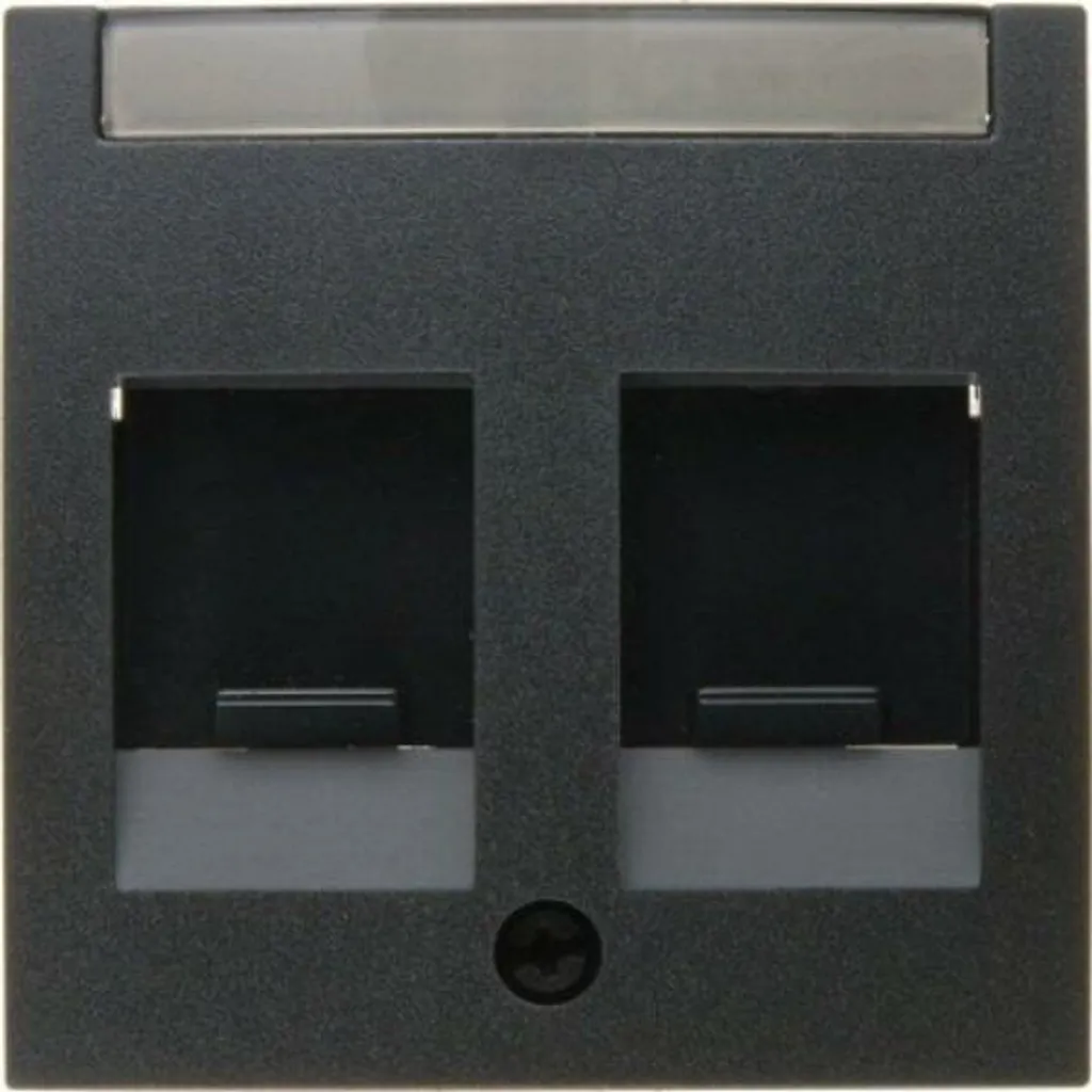 Façade pour Prise Réseau Berker avec Cache-poussière Anthracite Mat