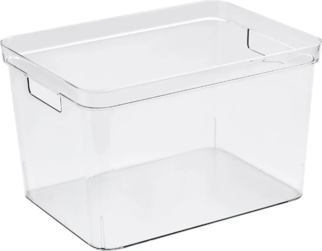 Aquarium Transparent sans Cadre Tetragonum Large avec Vue à 360 Degrés