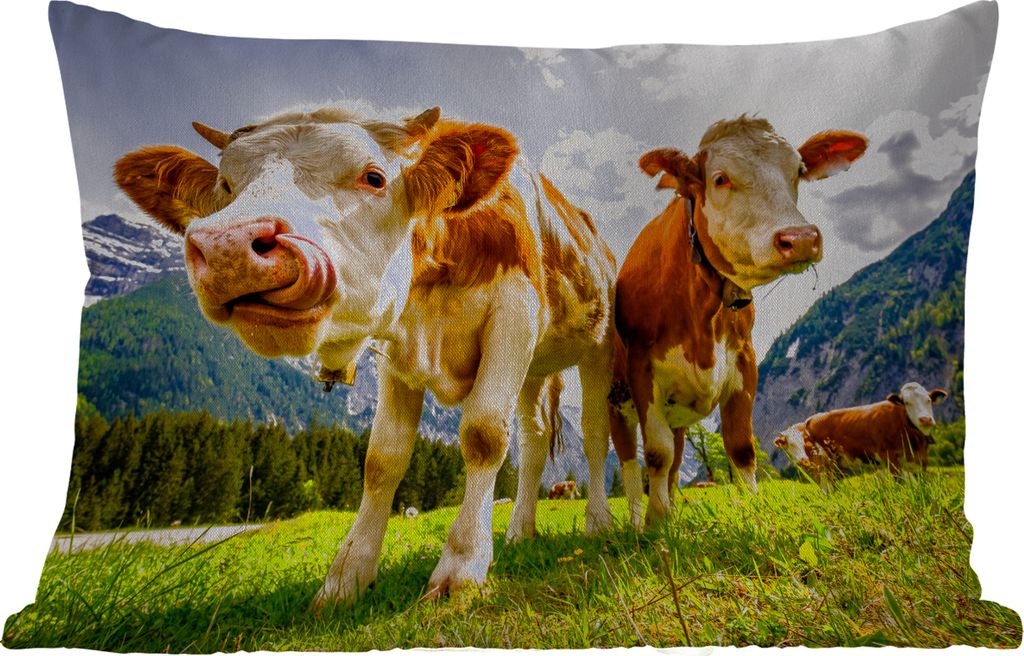 MuchoWow Outdoor Kissen - Kühe - Berge - Gras - Landschaft - Alpen - 60x40 cm - Wetterfest - Lounge Kissen - Zierkissen - Kissen für Innenräume