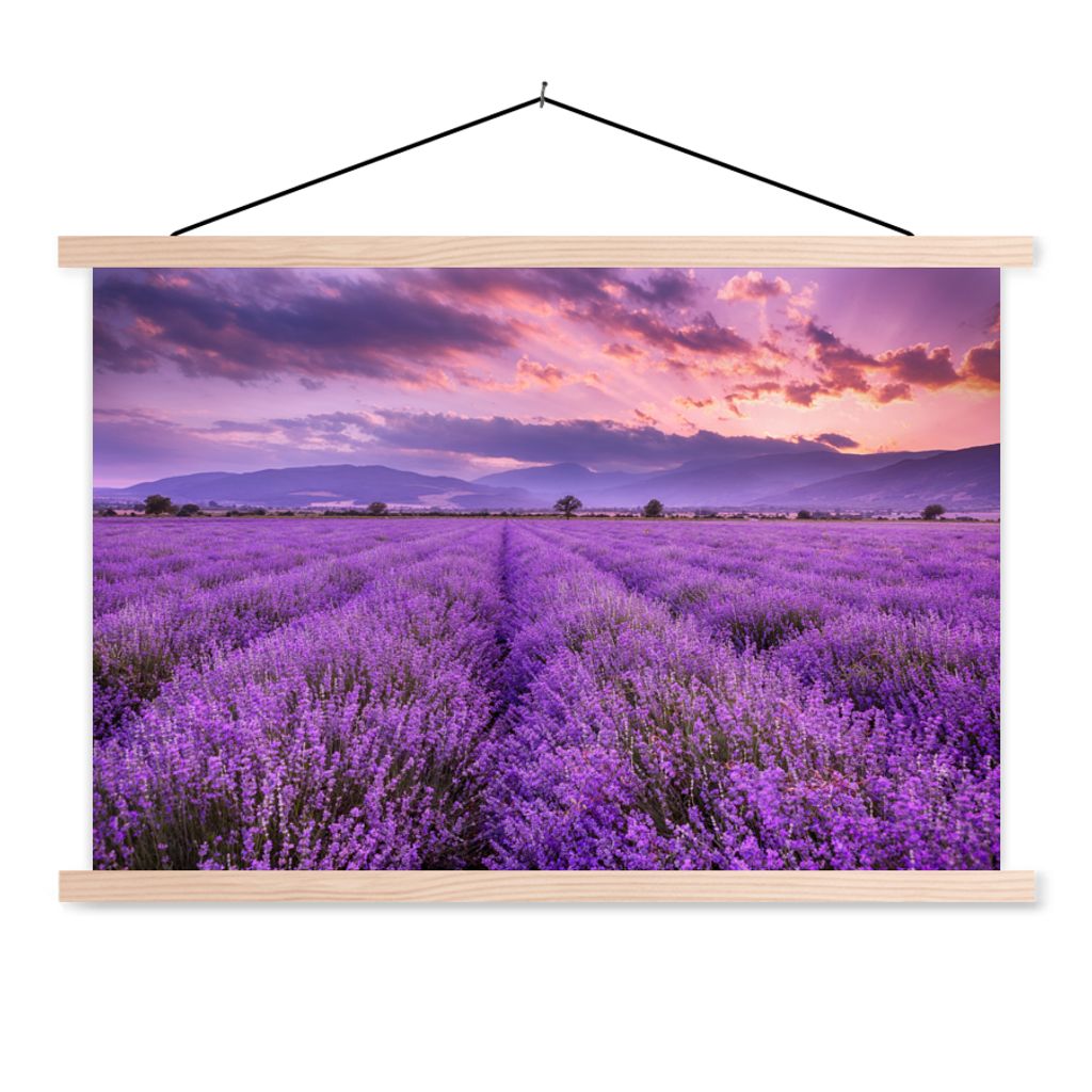 MuchoWow Textilposter Lavendel - Lila - Blumen - Feld 60x40 cm mit holzfarbenen Rahmen - Bilder