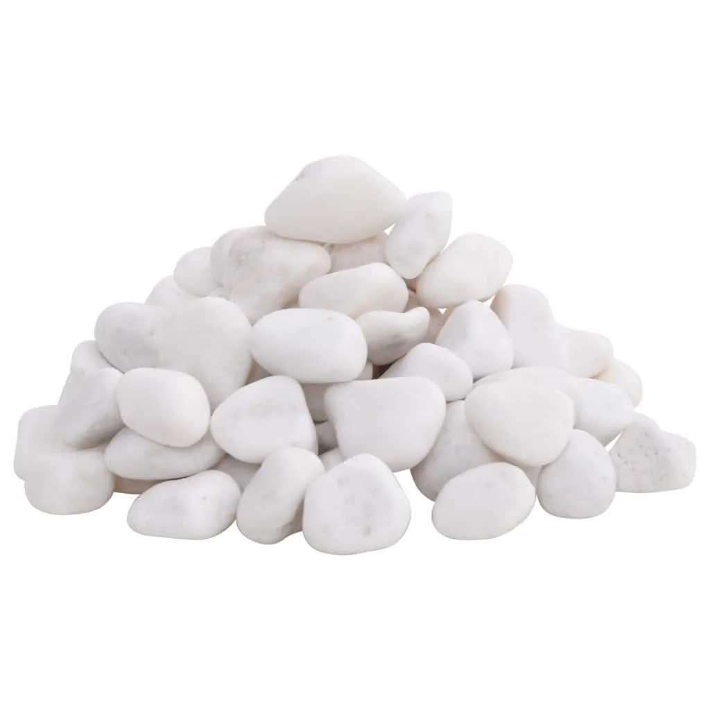 Pierres de décoration jardin galets polis blancs 10 kg calibre 2-5 cm