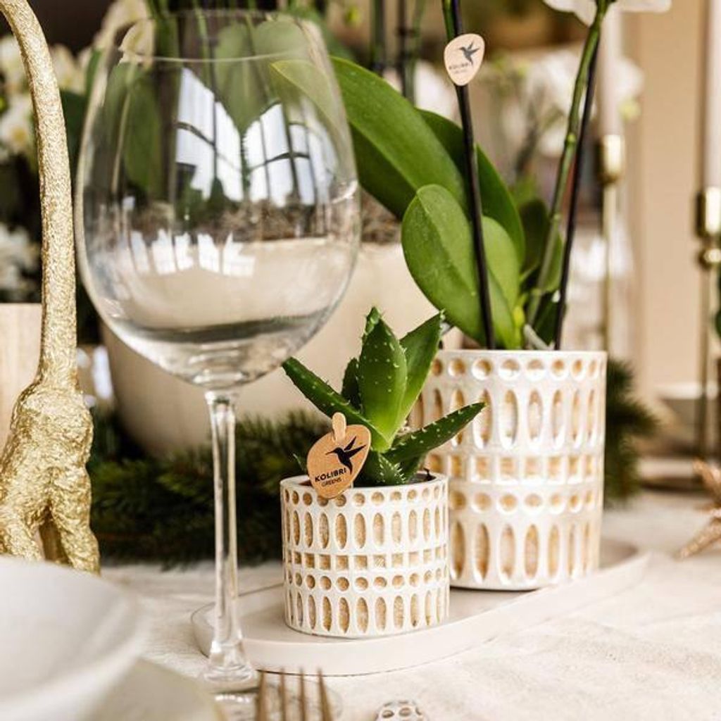 Dekotopf Mosaik – Ø6cm – Blumentopf mit goldenen Mosaikdetails – Stilvoller Mini Pflanztopf für Sukkulenten & kleine Pflanzen – Elegante ...