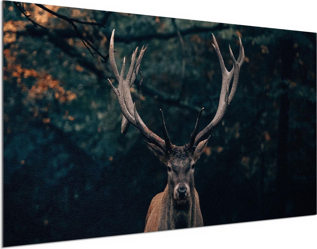 DEQORI Alu-Dibond Bild Silber 100x50 cm 'Elch im Teutoburger Wald' Wandbild Metall dünn