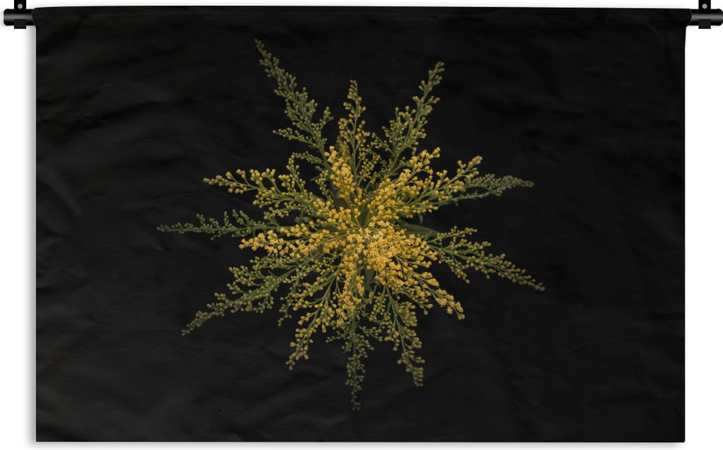 MuchoWow Wandteppich Wandbehang Eine Goldrutenblüte auf schwarzem Hintergrund 60x40 cm Tapisserie Dekoration Wandtuch - Wanddekorationen