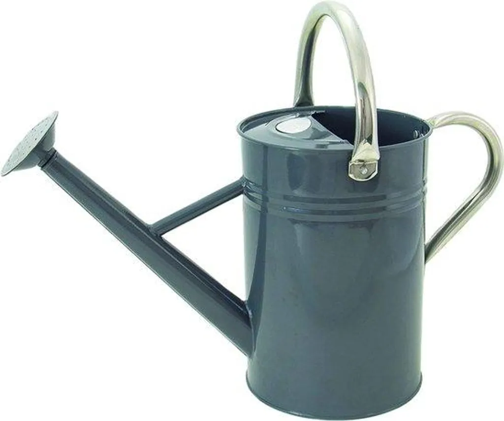 Arrosoir en acier galvanisé gris 4,5 L style anglais à double poignée