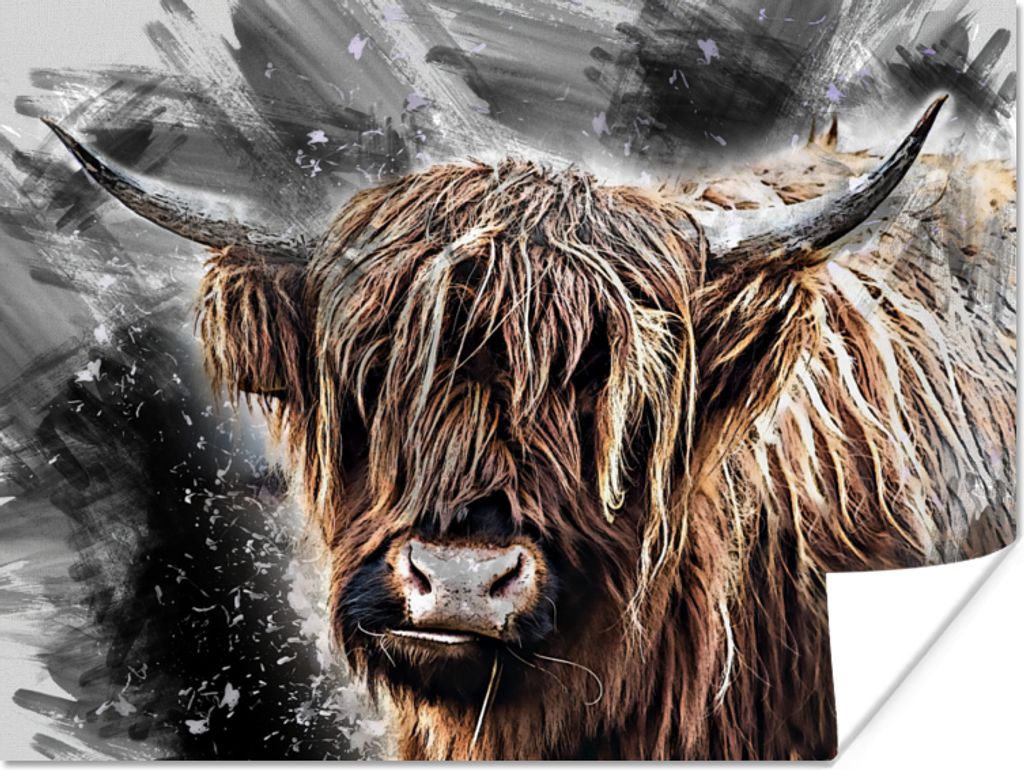 MuchoWow Poster Schottischer Highlander - Tiere - Farbe 160x120 cm - Foto Plakat