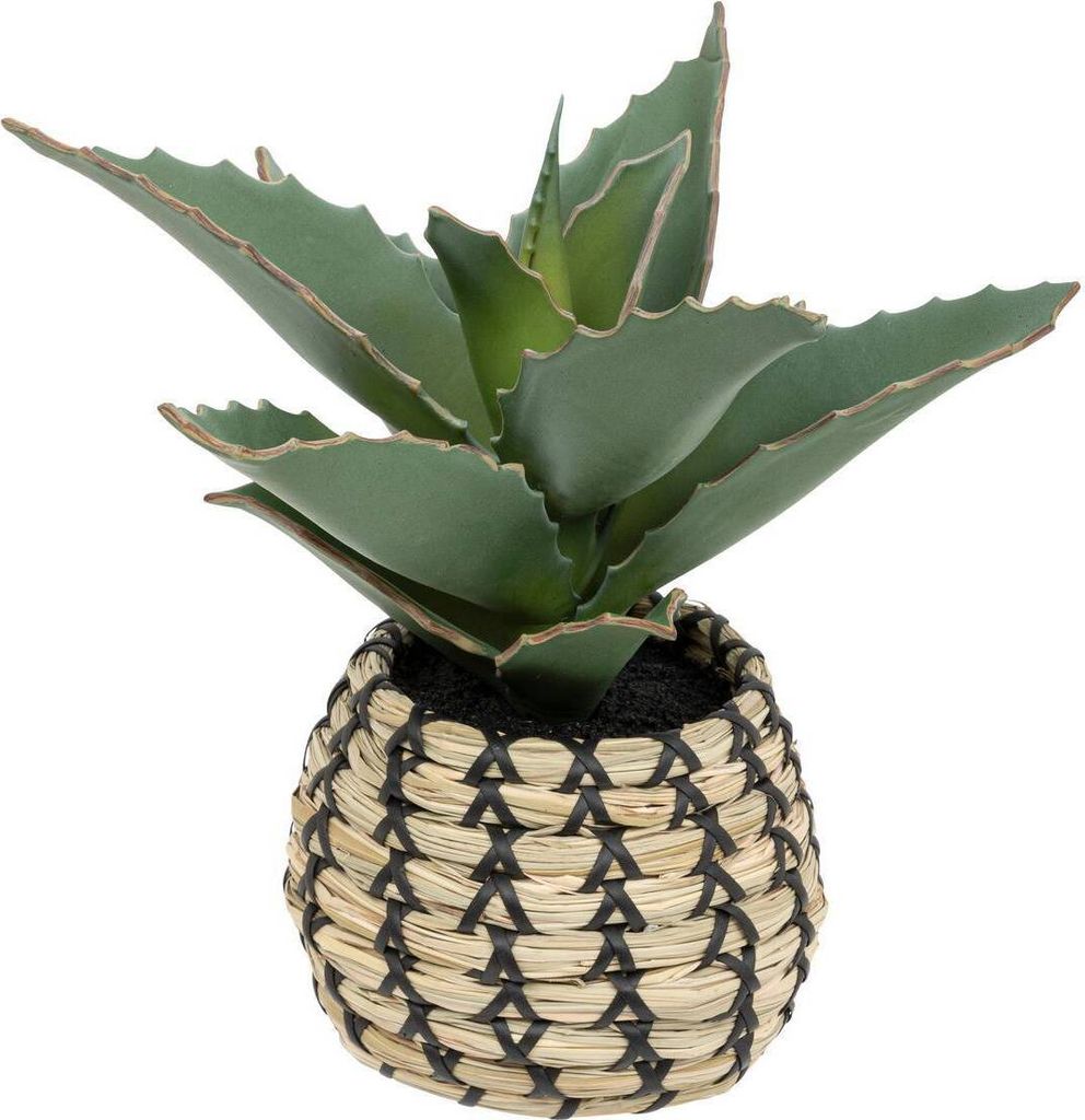 Artistische samurai-pflanze "pio" h26cm grün - Atmosphera créateur d'intérieur